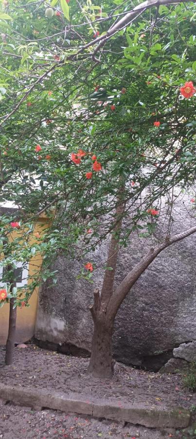 Отель Il Giardino Nascosto Неаполь Экстерьер фото